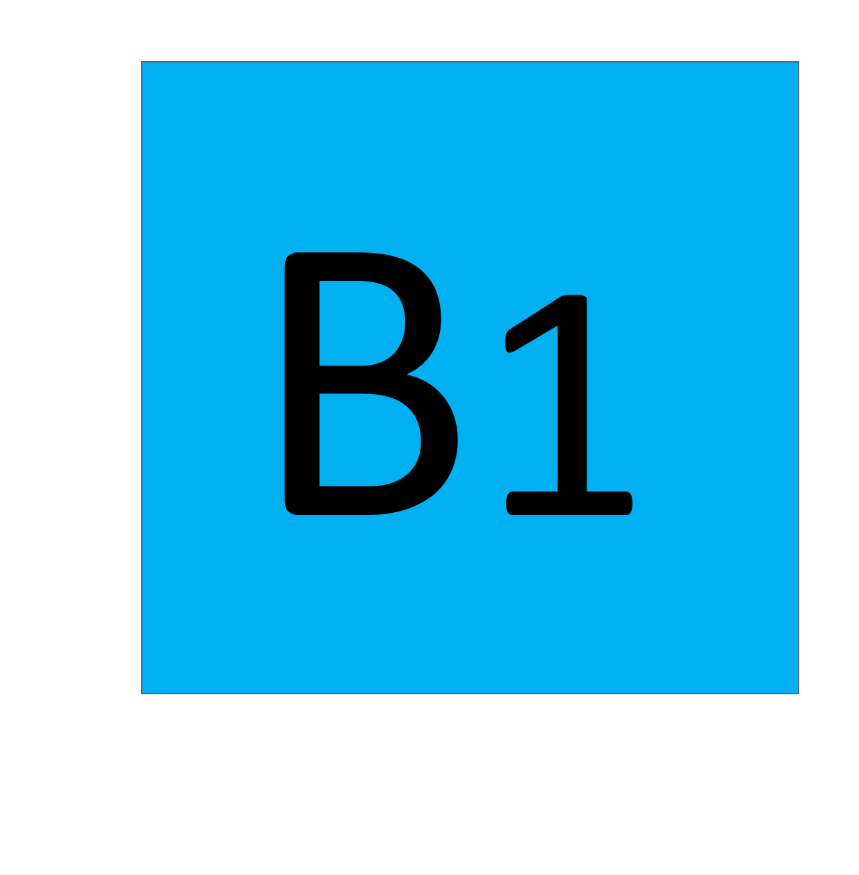 b1
